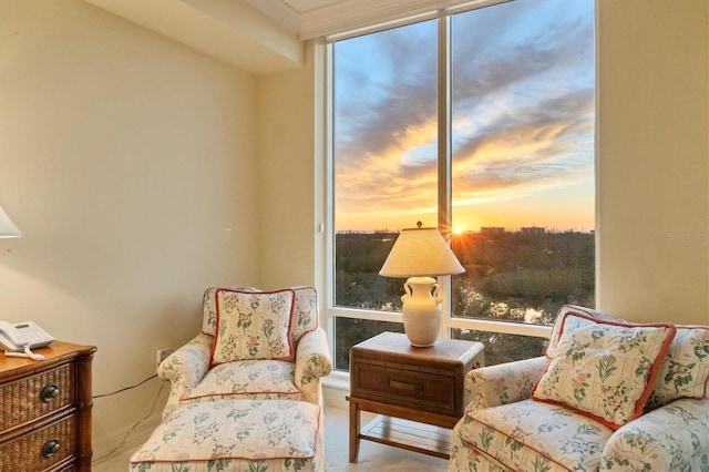 living area with carpet floors and floor to ceiling windows