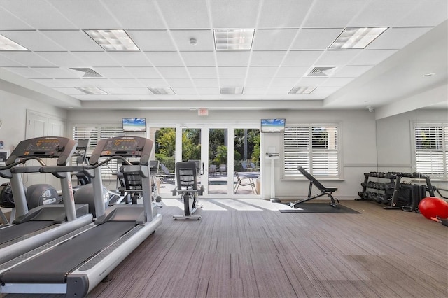 workout area featuring a drop ceiling, plenty of natural light, and carpet flooring