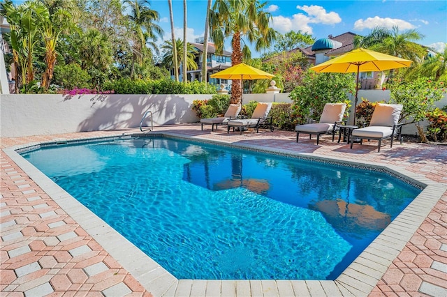 view of swimming pool with a patio area