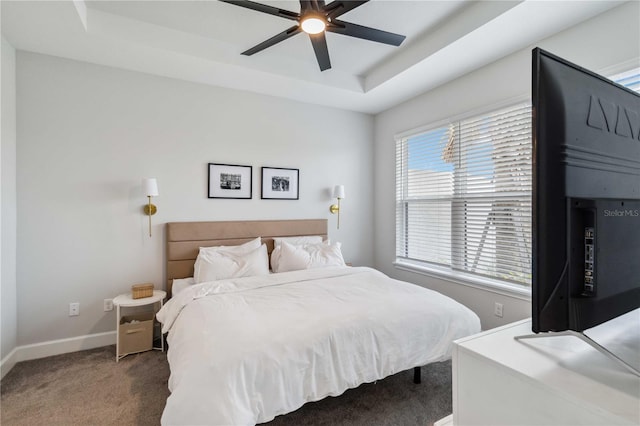 bedroom featuring carpet, ceiling fan, and a tray ceiling