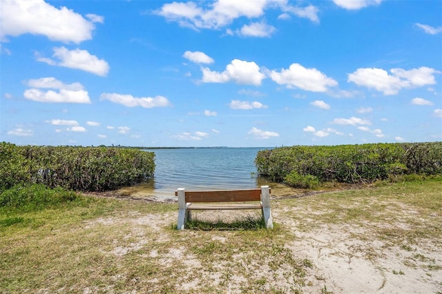 property view of water