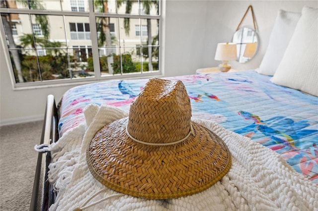 bedroom with carpet flooring