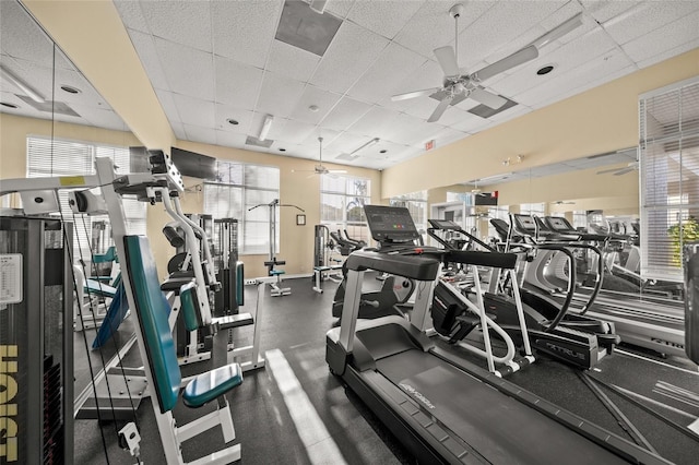 workout area with a paneled ceiling and ceiling fan