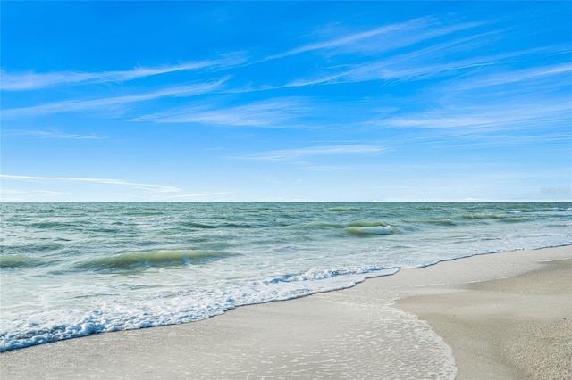 water view featuring a beach view