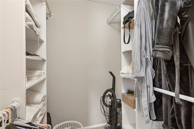 view of spacious closet