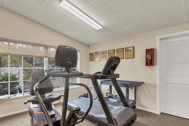 exercise area with carpet flooring and a drop ceiling