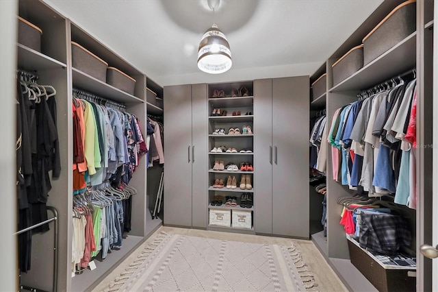 view of walk in closet