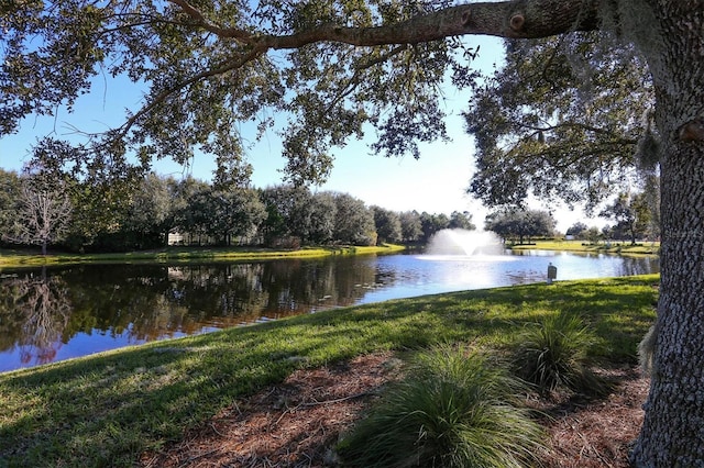 view of water feature