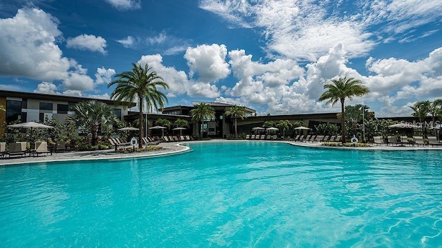 view of swimming pool