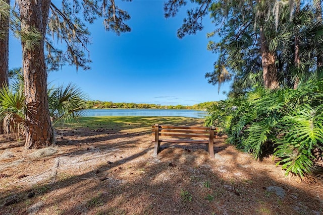 surrounding community with a water view