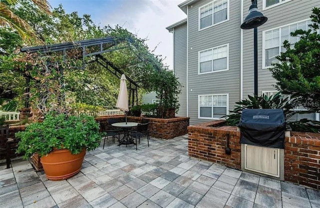 view of patio / terrace featuring area for grilling