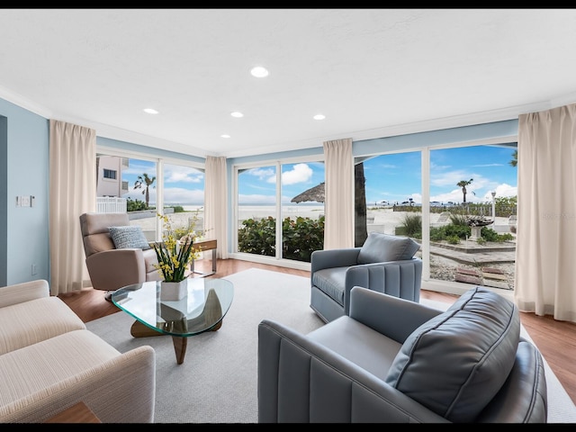 living room featuring crown molding, a healthy amount of sunlight, and light hardwood / wood-style flooring