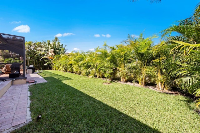 view of yard featuring a patio area