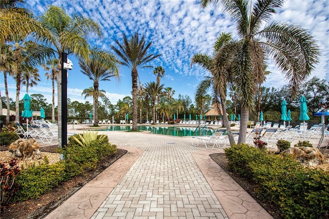 view of pool featuring a patio