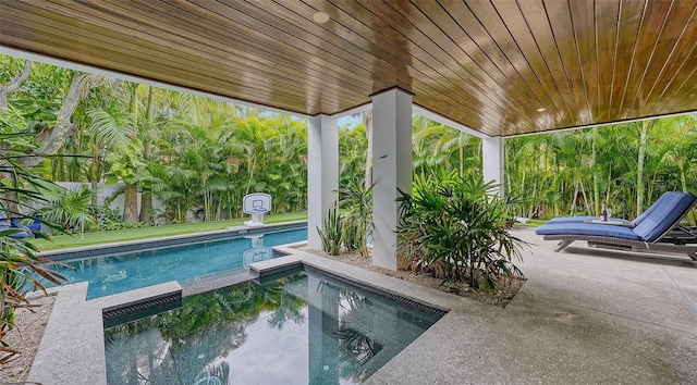 view of swimming pool featuring a patio