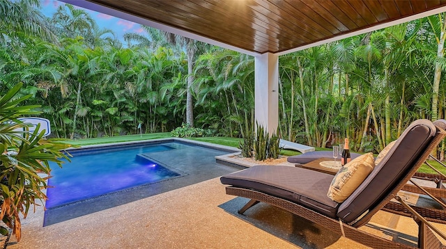 view of swimming pool with a patio area