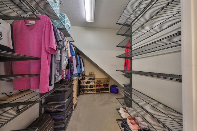 view of walk in closet