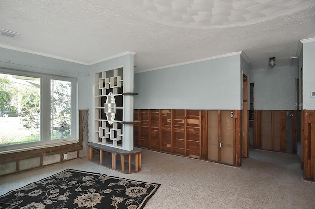 interior space featuring crown molding and a textured ceiling