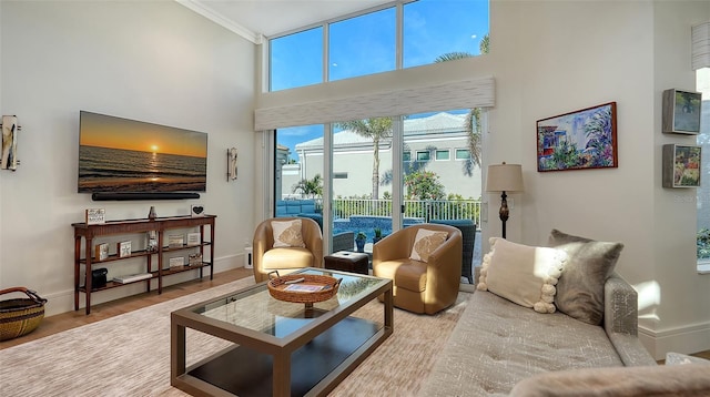 living room featuring crown molding, wood-type flooring, and a high ceiling