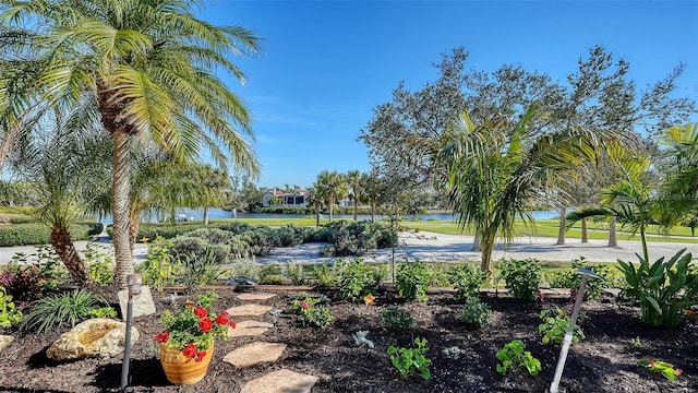 view of home's community with a water view