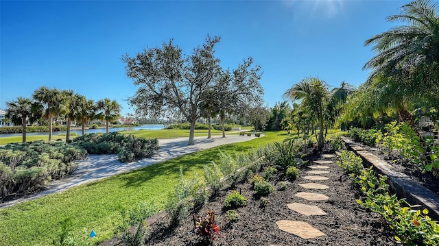 view of community featuring a lawn and a water view