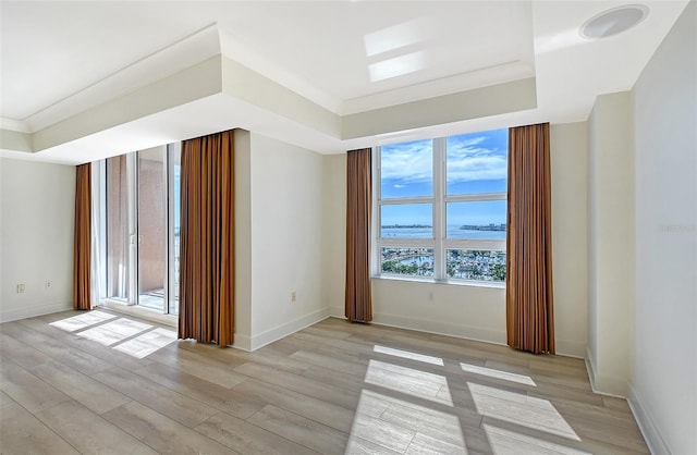 unfurnished room featuring crown molding, a tray ceiling, and light wood-type flooring