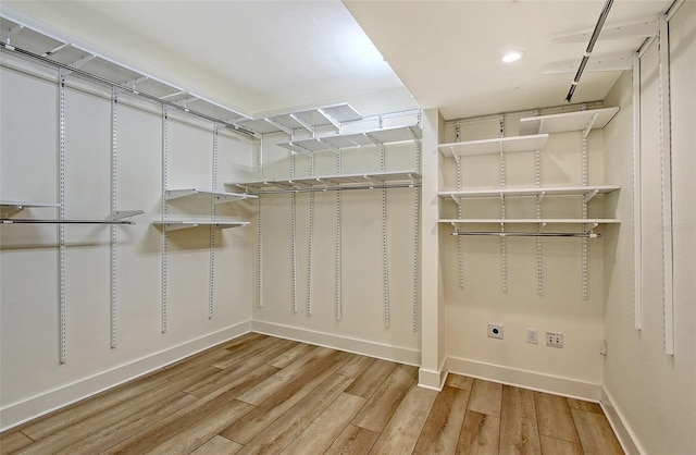 spacious closet with hardwood / wood-style flooring