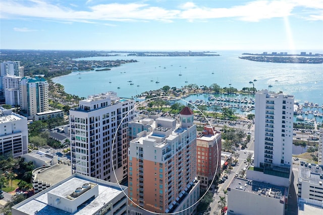 aerial view with a water view