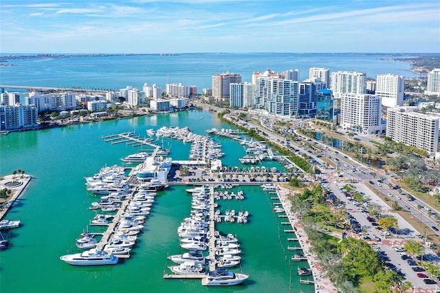 bird's eye view with a water view