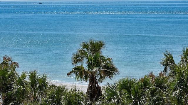 water view featuring a beach view