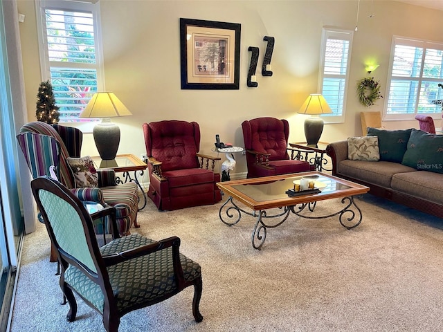 view of carpeted living room