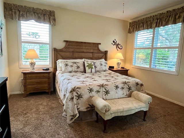 carpeted bedroom with multiple windows