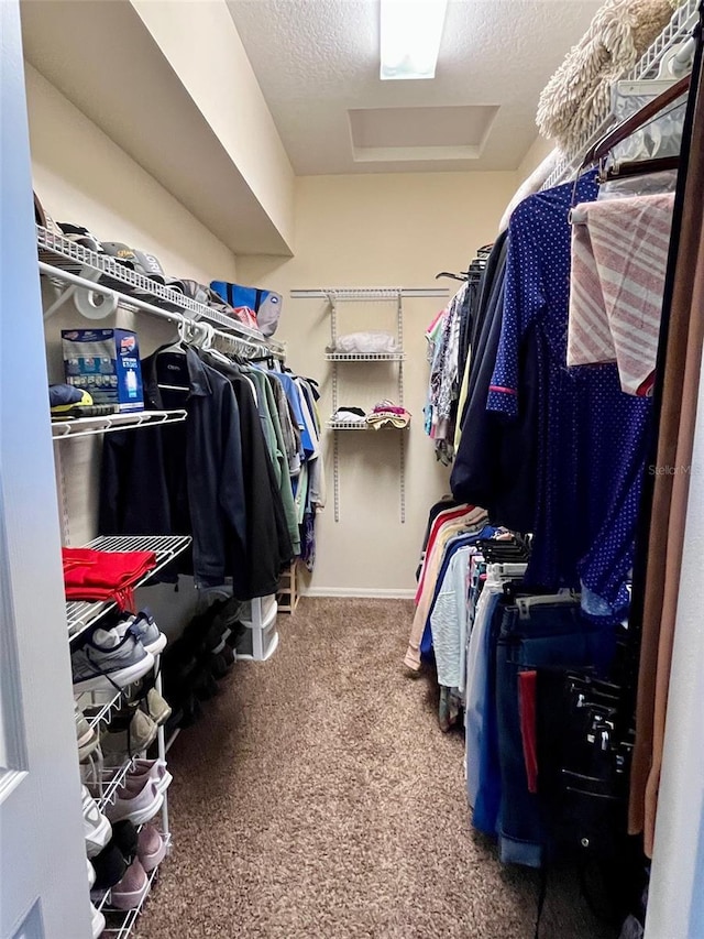 walk in closet with carpet flooring