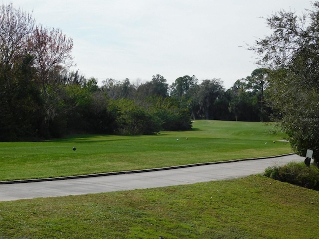 view of home's community with a yard