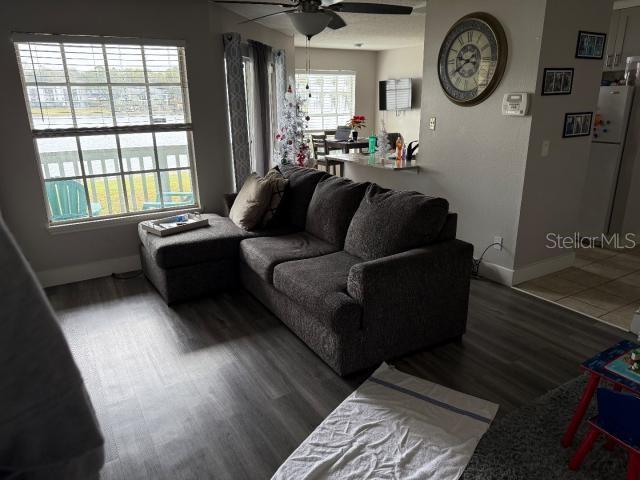 living room featuring ceiling fan and dark hardwood / wood-style flooring