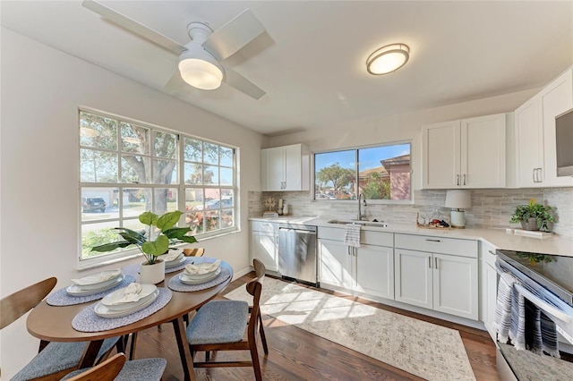 kitchen with stainless steel appliances, wood finished floors, a sink, light countertops, and tasteful backsplash