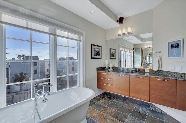 bathroom with vanity, a wealth of natural light, and a washtub