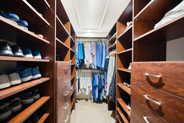 view of spacious closet