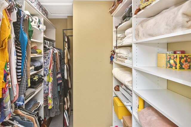 view of spacious closet