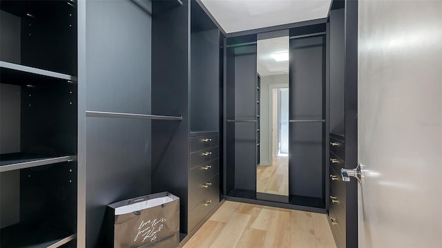 spacious closet featuring light hardwood / wood-style flooring