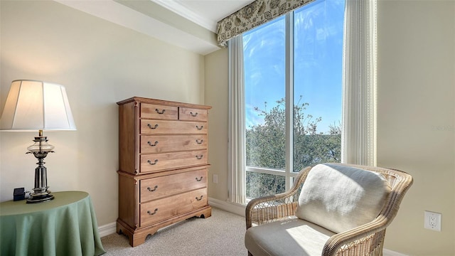 living area with a wealth of natural light and light colored carpet