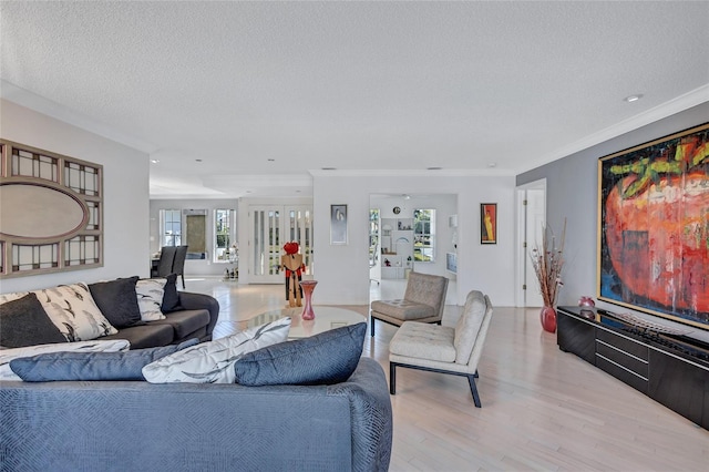 living room with ornamental molding, light hardwood / wood-style floors, and a textured ceiling