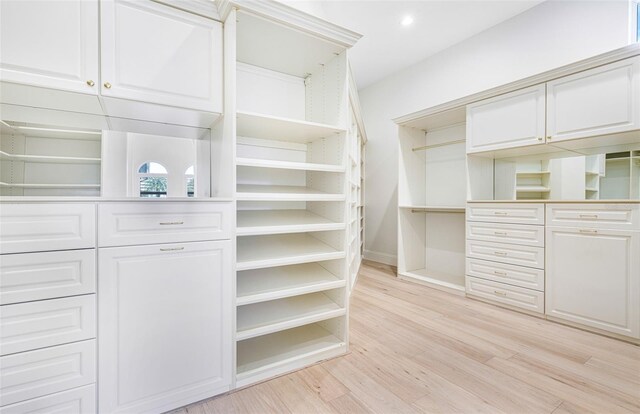 spacious closet with light wood-type flooring