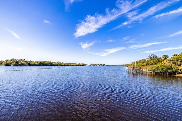 view of water feature with a dock