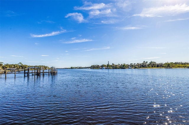 water view with a dock