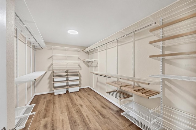 spacious closet with hardwood / wood-style floors