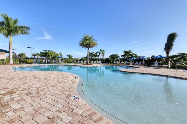 view of swimming pool featuring a patio