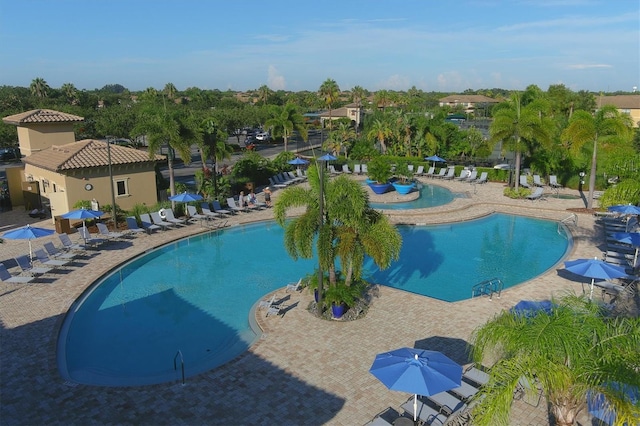 view of swimming pool with a patio