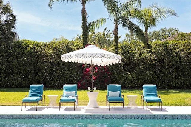 view of pool with a patio area and a lawn