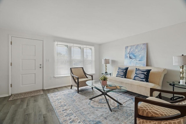 living room with wood-type flooring